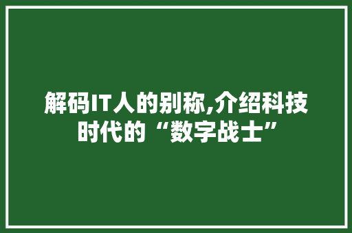 解码IT人的别称,介绍科技时代的“数字战士” 英文谷歌算法