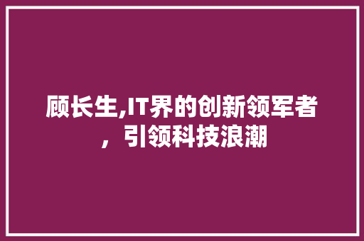 顾长生,IT界的创新领军者，引领科技浪潮