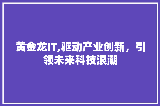 黄金龙IT,驱动产业创新，引领未来科技浪潮 头条优化