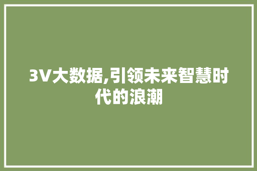 3V大数据,引领未来智慧时代的浪潮