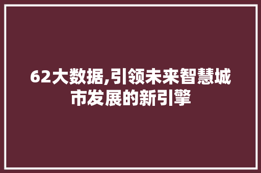 62大数据,引领未来智慧城市发展的新引擎