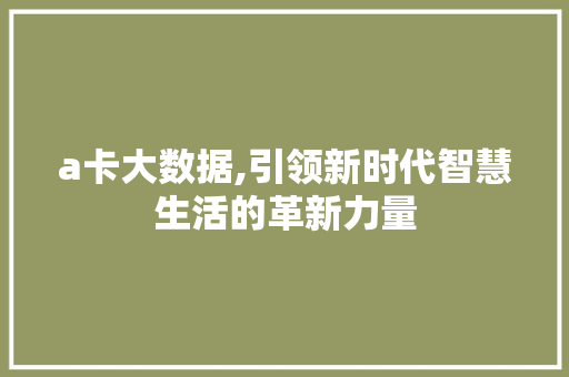 a卡大数据,引领新时代智慧生活的革新力量