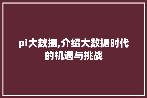 pi大数据,介绍大数据时代的机遇与挑战 360搜优化