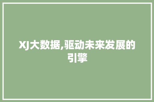 XJ大数据,驱动未来发展的引擎