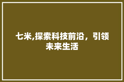 七米,探索科技前沿，引领未来生活 AI技术学习