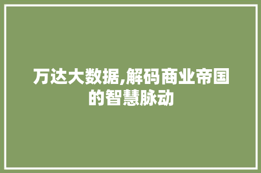 万达大数据,解码商业帝国的智慧脉动