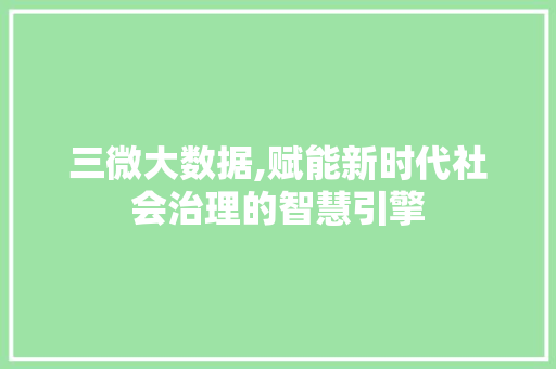 三微大数据,赋能新时代社会治理的智慧引擎