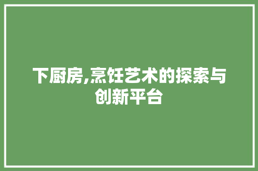 下厨房,烹饪艺术的探索与创新平台