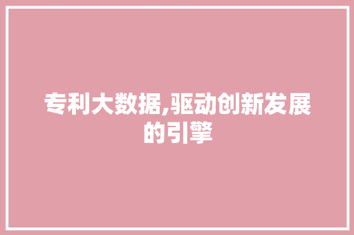 专利大数据,驱动创新发展的引擎