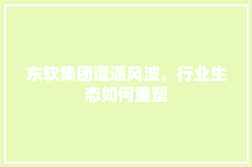 东软集团遭遇风波，行业生态如何重塑 英文谷歌算法