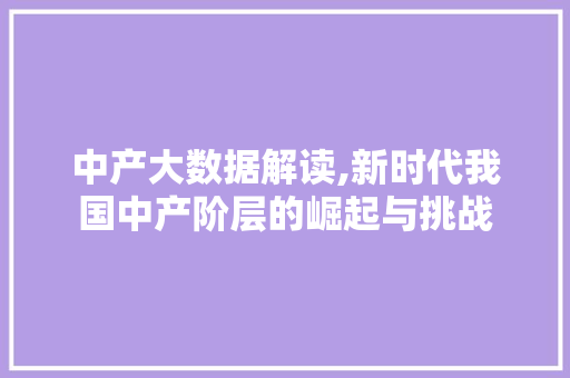 中产大数据解读,新时代我国中产阶层的崛起与挑战