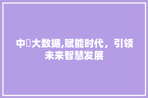 中堃大数据,赋能时代，引领未来智慧发展