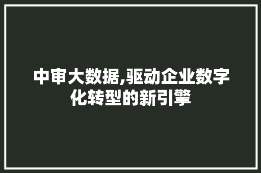 中审大数据,驱动企业数字化转型的新引擎