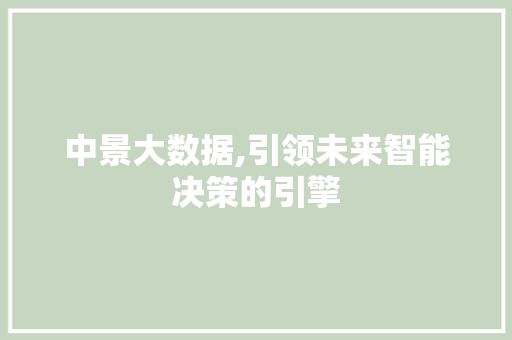 中景大数据,引领未来智能决策的引擎 英文谷歌算法