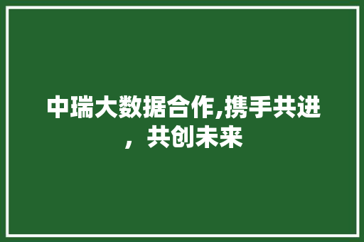 中瑞大数据合作,携手共进，共创未来