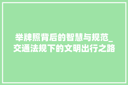 举牌照背后的智慧与规范_交通法规下的文明出行之路