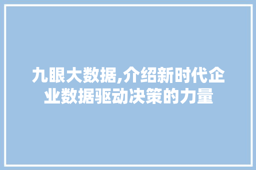 九眼大数据,介绍新时代企业数据驱动决策的力量