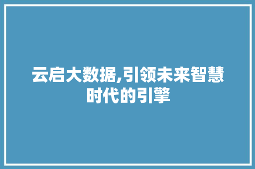 云启大数据,引领未来智慧时代的引擎 网站优化