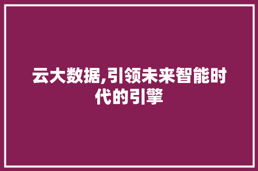 云大数据,引领未来智能时代的引擎 seo技术