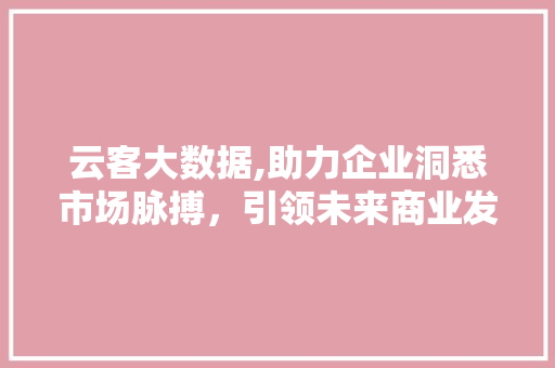 云客大数据,助力企业洞悉市场脉搏，引领未来商业发展 百度算法