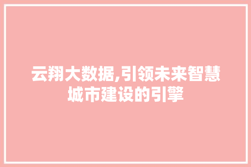 云翔大数据,引领未来智慧城市建设的引擎 小程序开发