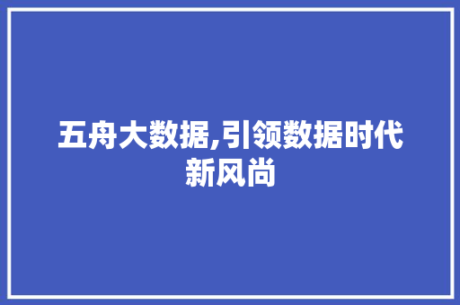 五舟大数据,引领数据时代新风尚