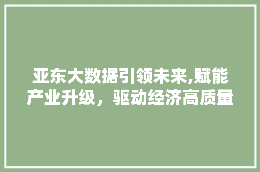 亚东大数据引领未来,赋能产业升级，驱动经济高质量发展 AI技术学习