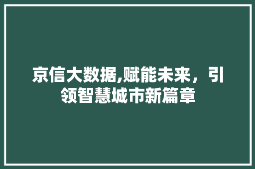 京信大数据,赋能未来，引领智慧城市新篇章 网站优化