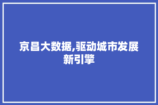 京昌大数据,驱动城市发展新引擎 小程序开发