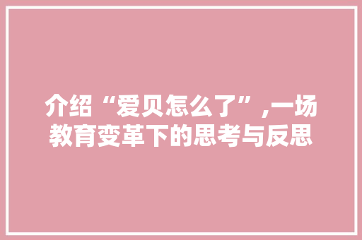 介绍“爱贝怎么了”,一场教育变革下的思考与反思