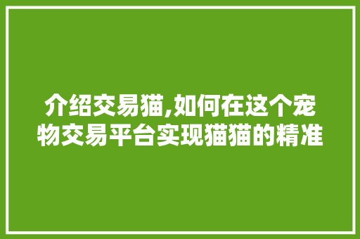 介绍交易猫,如何在这个宠物交易平台实现猫猫的精准匹配与交易