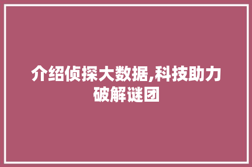 介绍侦探大数据,科技助力破解谜团 英文谷歌算法