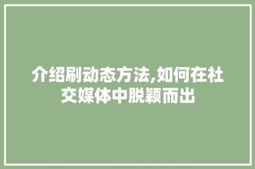 介绍刷动态方法,如何在社交媒体中脱颖而出 网站优化