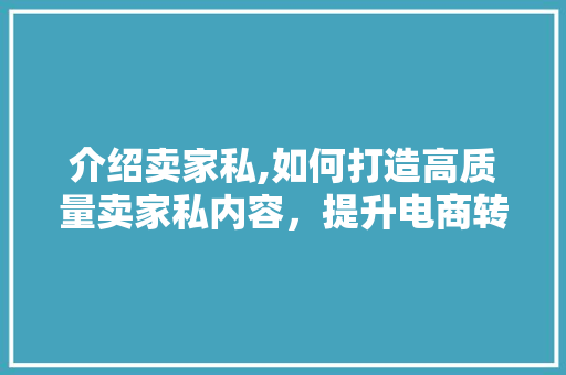 介绍卖家私,如何打造高质量卖家私内容，提升电商转化率