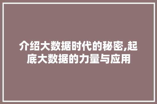 介绍大数据时代的秘密,起底大数据的力量与应用 网站开发