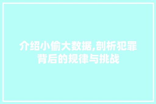 介绍小偷大数据,剖析犯罪背后的规律与挑战