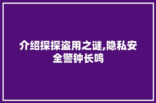 介绍探探盗用之谜,隐私安全警钟长鸣 网站优化