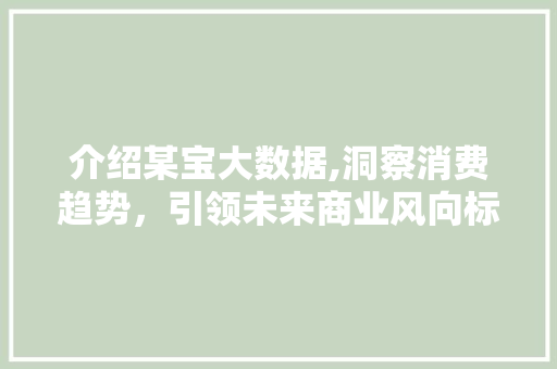 介绍某宝大数据,洞察消费趋势，引领未来商业风向标