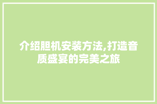 介绍胆机安装方法,打造音质盛宴的完美之旅 网站优化