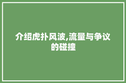 介绍虎扑风波,流量与争议的碰撞