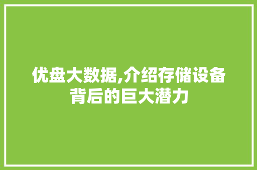 优盘大数据,介绍存储设备背后的巨大潜力 网站优化