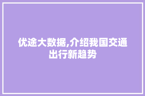 优途大数据,介绍我国交通出行新趋势