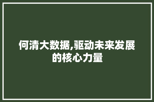 何清大数据,驱动未来发展的核心力量
