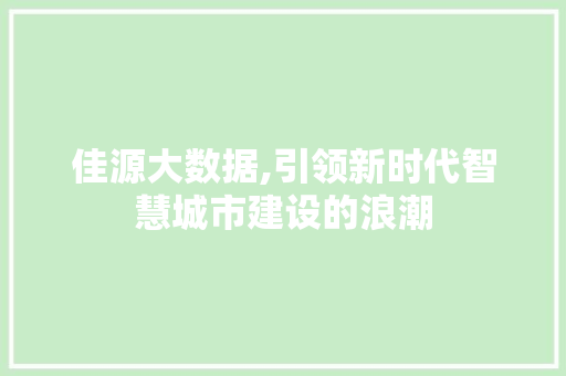 佳源大数据,引领新时代智慧城市建设的浪潮