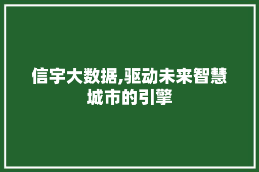 信宇大数据,驱动未来智慧城市的引擎 英文谷歌算法