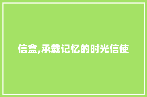 信盒,承载记忆的时光信使