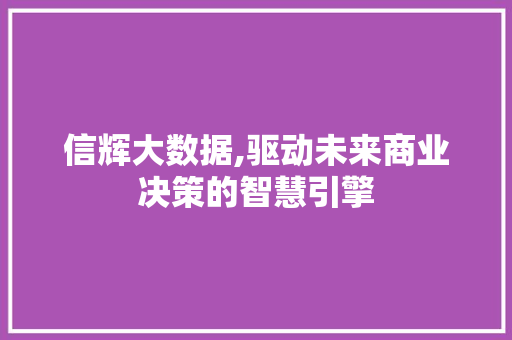 信辉大数据,驱动未来商业决策的智慧引擎 头条优化