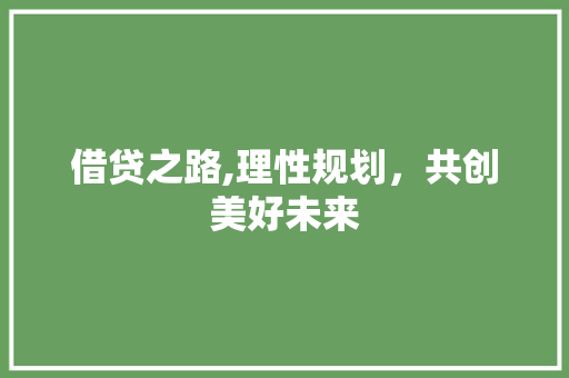 借贷之路,理性规划，共创美好未来