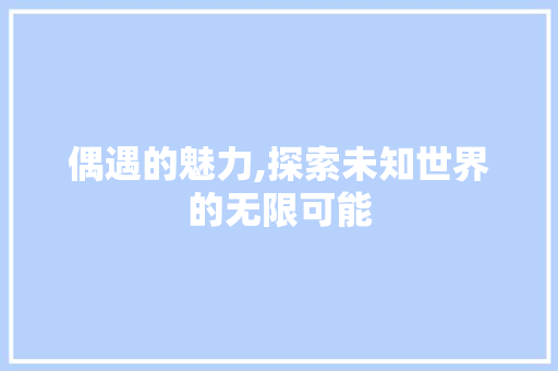 偶遇的魅力,探索未知世界的无限可能