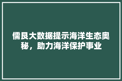 儒艮大数据提示海洋生态奥秘，助力海洋保护事业 网站开发